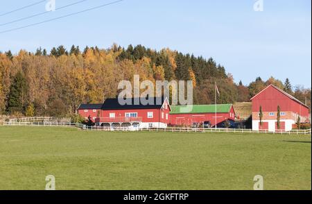 Paesaggio norvegese con case in legno rosso e fienili su verdi colline Foto Stock