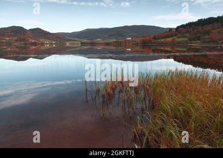 Paesaggio rurale norvegese con acqua di lago ancora sotto cielo nuvoloso Foto Stock