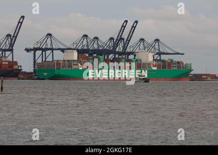 La nave container più grande del mondo è ormeggiata a Felixstowe nel settembre 2021 Foto Stock