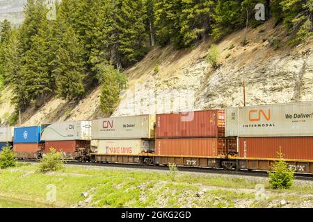 IT Route Banff a Kamloops, Canda - Giugno 2018: Spedizione container su treno merci attraverso le Montagne Rocciose Foto Stock