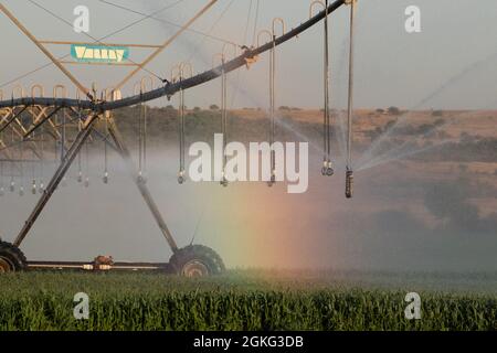 Un perno di irrigazione che innaffia un campo di colture in Sudafrica Foto Stock