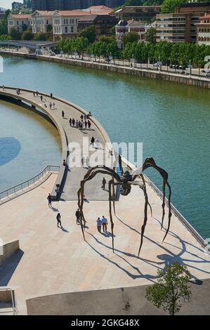 La scultura maman al Museo Guggenheim di Arte Contemporanea di Bilbao Bilbo Foto Stock