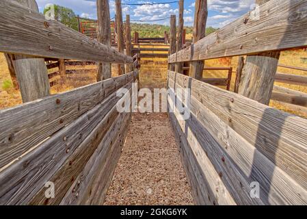 Un cortale di bestiame dimenticato nella Prescott National Forest ad est di Paulden Arizona. La zona è un terreno federale accessibile al pubblico. Nessun rilascio di proprietà i Foto Stock