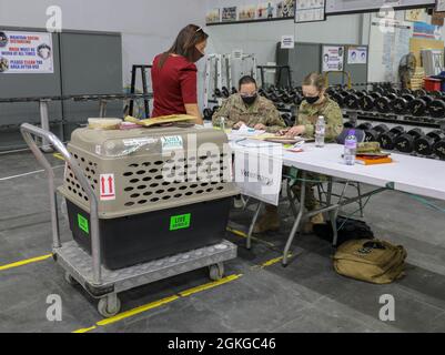 Briana Kramer, un Dipartimento della Difesa civile in-processi presso la stazione veterinaria durante un esercizio di evacuazione non combattente (NEO) a Camp Arifjan, Kuwait, 15 aprile 2021. I Neo sono condotti per assistere il Dipartimento di Stato nell'evacuazione di non combattenti, personale militare non essenziale, cittadini selezionati della nazione ospitante, e cittadini di paesi terzi la cui vita è in pericolo da luoghi in una nazione straniera ospite a un appropriato rifugio sicuro e/o gli Stati Uniti. Foto Stock