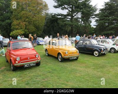 Una fila di Fiat 500 in 'Classics on the Lawn' mostra auto durante il fine settimana patrimonio; molto per gli appassionati di ammirare al Delatre Abbey, settembre 2021. Foto Stock