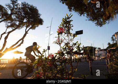 Salvador, Bahia, Brasile - 17 giugno 2021: Silhouette al tramonto di fiori, foglie, alberi, fermata dell'autobus e persone ai margini di Porto da barra in Salvador. Foto Stock