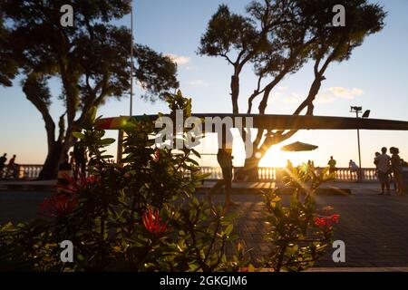 Salvador, Bahia, Brasile - 17 giugno 2021: Silhouette al tramonto di fiori, foglie, alberi, fermata dell'autobus e persone ai margini di Porto da barra in Salvador. Foto Stock