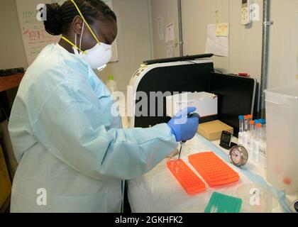 CAMP LEMONNIER, Gibuti (23 aprile 2021) U.S. Navy Hospital Corpsman 3rd Class Debrecia Thomas, di Jacksonville, Fl., prepara pozzetti con campioni di tampone per test COVID-19 presso la Naval Medical Research Unit (NAMRU) di Camp Lemonnier il 23 aprile 2021. A sostegno dei combattenti Uniti, la NAMRU conduce ricerche e sorveglianza di malattie infettive, problemi di salute ambientale e epidemiologia e scienze comportamentali, per supportare il personale militare dispiegato in Africa, Medio Oriente e Sud-Ovest asiatico. Foto Stock