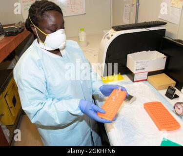 CAMP LEMONNIER, Gibuti (23 aprile 2021) U.S. Navy Hospital Corpsman 3rd Class Debrecia Thomas, di Jacksonville, Fla., prepara una piastra di campioni di tampone per il test COVID-19 presso la Naval Medical Research Unit (NAMRU) di Camp Lemonnier il 23 aprile 2021. Il team NAMRU ha effettuato migliaia di test di laboratorio dalla primavera, 2020. A sostegno dei combattenti Uniti, la NAMRU ricerca e traccia di malattie infettive, problemi di salute ambientale e epidemiologia e scienze comportamentali, per sostenere il personale militare dispiegato in Africa, Medio Oriente e Sud-Ovest asiatico. Foto Stock