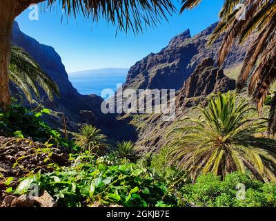 Splendida vista sul villaggio di Masca a Tenerife, Spagna. Foto Stock