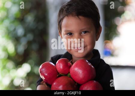 Un ragazzo giovane che tiene un mazzo di melagrane mature tra le braccia che ha scelto per mangiare come uno spuntino sano. Foto Stock