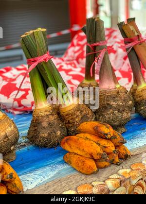 Kalo, Taro, Papeete Market, Tahiti, Polinesia Francese Foto Stock