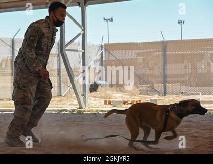 Un cane e un gestore dell'aviazione militare statunitense assegnato al 386th Expeditionary Security Forces Squadron esegue una dimostrazione K-9 alla cerimonia di apertura della National Police Week alla base aerea di Ali al Salem, Kuwait, 9 maggio 2021. La comunità si è riunita per dare un riconoscimento speciale agli agenti dell'applicazione della legge, che siano essi forze civili, militari o di coalizione, nella linea di dovere per la sicurezza e la protezione degli altri. Foto Stock