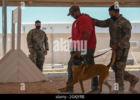 Un cane e un gestore dell'aviazione militare statunitense assegnato al 386th Expeditionary Security Forces Squadron esegue una dimostrazione K-9 alla cerimonia di apertura della National Police Week alla base aerea di Ali al Salem, Kuwait, 9 maggio 2021. La comunità si è riunita per dare un riconoscimento speciale agli agenti dell'applicazione della legge, che siano essi forze civili, militari o di coalizione, nella linea di dovere per la sicurezza e la protezione degli altri. Foto Stock