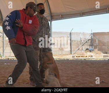 Un cane e un gestore dell'aviazione militare statunitense assegnato al 386th Expeditionary Security Forces Squadron esegue una dimostrazione K-9 alla cerimonia di apertura della National Police Week alla base aerea di Ali al Salem, Kuwait, 9 maggio 2021. La comunità si è riunita per dare un riconoscimento speciale agli agenti dell'applicazione della legge, che siano essi forze civili, militari o di coalizione, nella linea di dovere per la sicurezza e la protezione degli altri. Foto Stock