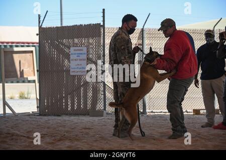 Un cane e un gestore dell'aviazione militare statunitense assegnato al 386th Expeditionary Security Forces Squadron esegue una dimostrazione K-9 alla cerimonia di apertura della National Police Week alla base aerea di Ali al Salem, Kuwait, 9 maggio 2021. La comunità si è riunita per dare un riconoscimento speciale agli agenti dell'applicazione della legge, che siano essi forze civili, militari o di coalizione, nella linea di dovere per la sicurezza e la protezione degli altri. Foto Stock