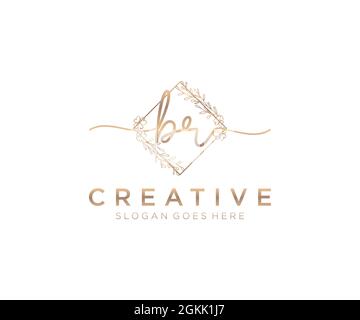 BR monogramma di bellezza del logo femminile e design elegante del logo, logo di scrittura a mano della firma iniziale, matrimonio, moda, floreale e botanico con creativo Illustrazione Vettoriale