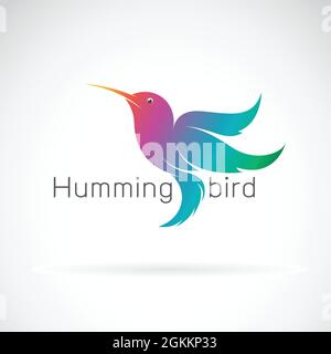 Vettore di un disegno hummingbird su sfondo bianco. Animali. Illustrazione vettoriale a livelli facilmente modificabile. Animali selvatici. Illustrazione Vettoriale