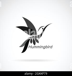 Vettore di hummingbird disegno su sfondo bianco., Animali selvatici. Birds., facile illustrazione vettoriale a strati modificabile. Illustrazione Vettoriale