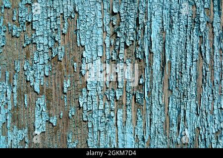 Vecchio muro di legno blu dipinto - struttura o sfondo Foto Stock