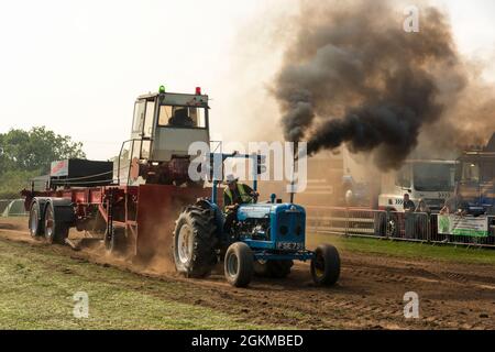 Gara di estrazione di trattori che mostra enormi fumi di scarico in un rally a vapore in Cheshire Inghilterra Regno Unito Foto Stock