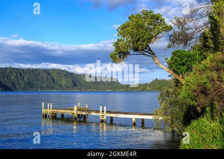 Lago Rotoiti nel pittoresco distretto dei Laghi di Rotorua, Nuova Zelanda. Le colline circostanti sono coperte di foresta autoctona Foto Stock