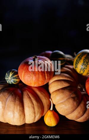 Halloween, giorno di ringraziamento o autunno concetto di caduta. Composizione con fondo scuro per decorare una casa per festa di Halloween, zucche gialle e arancioni. Foto verticale di alta qualità con spazio di copia Foto Stock