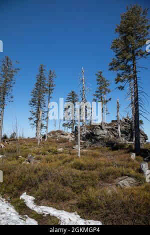 Wanderung von Zwercheck zum Grossen Osser Foto Stock