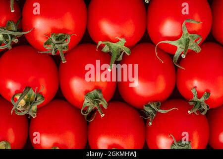 Immagine di sfondo di file distesi di pomodori ciliegini rossi maturi. Vista dall'alto. Disposizione piatta. Spazio di copia Foto Stock