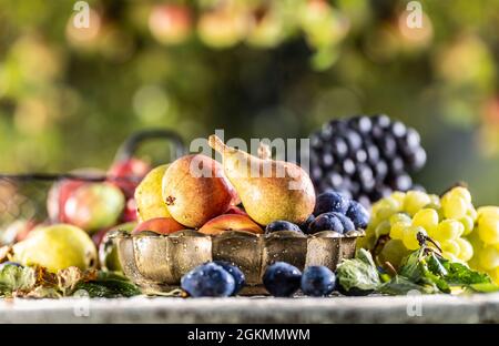 Frutta matura sul tavolo in giardino. Pere fresche in una ciotola di bronzo circondata da una varietà di frutti da giardino. Foto Stock