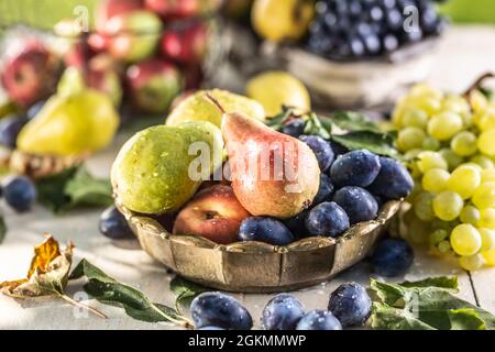 Frutta matura sul tavolo in giardino. Pere fresche in una ciotola di bronzo circondata da una varietà di frutti da giardino. Foto Stock