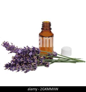 Bottiglie marroni di boccioli di lavanda. Flussi di lavanda essiccati. Aprire il flacone Foto Stock