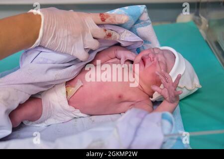 Il medico copre con una coperta neonato da un medico immediatamente dopo il parto Foto Stock