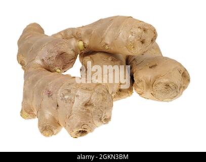 Radice di Zenzero isolati su sfondo bianco Foto Stock