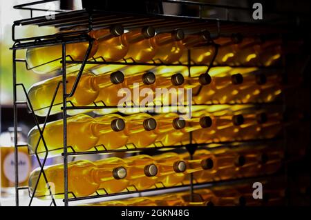 Uve a Hoeilaart, Belgio Foto Stock