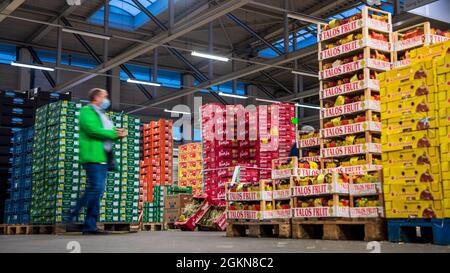 Brema, Germania. 15 settembre 2021. Scatole di frutta e verdura si trovano in una sala del mercato all'ingrosso. Il mercato all'ingrosso della Überseestadt di Brema ha 60 anni. Credit: Sina Schuldt/dpa/Alamy Live News Foto Stock