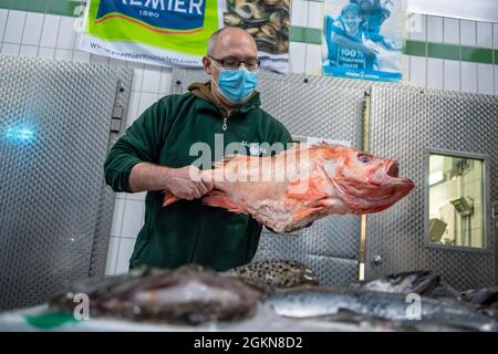 Brema, Germania. 15 settembre 2021. Uwe Koch-Bodes, pescivatore, vende pesce sul mercato all'ingrosso. Il mercato all'ingrosso della Überseestadt di Brema ha 60 anni. Credit: Sina Schuldt/dpa/Alamy Live News Foto Stock