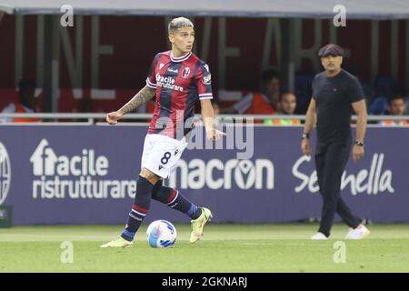 Renato Dall&#39;Stadio Ara, Bologna, 13 settembre 2021, Nicolas Martin Dominguez -Bologna durante il Bologna FC vs Hellas Verona FC - italiano f Foto Stock