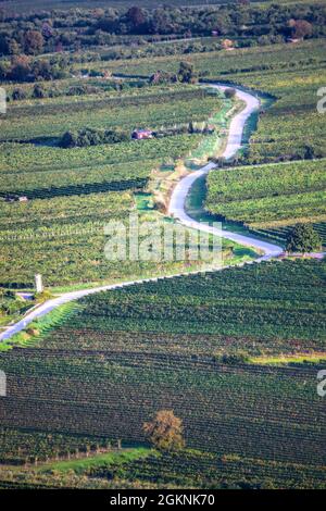 Valle di Wachau con strada tra vigneti nella bassa Austria, Austria Foto Stock