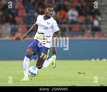 Renato Dall&#39;Stadio Ara, Bologna, 13 settembre 2021, Martin Hongla -Hellas Verona durante il Bologna FC vs Hellas Verona FC - footba italiana Foto Stock