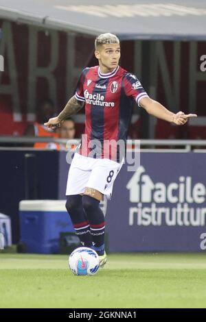 Bologna, Italia. 13 settembre 2021. Nicolas Martin Dominguez -Bologna durante il Bologna FC vs Hellas Verona FC, Campionato Italiano di calcio A a Bologna, Italia, Settembre 13 2021 Credit: Agenzia indipendente di Foto/Alamy Live News Foto Stock