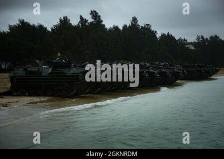 Marines USA con la Società B, 3d Assault Battaglione anfibio attualmente assegnato a 4th Marines, 3d Marine Division condurre operazioni in acqua con veicoli anfibi d'assalto a Camp Schwab, Okinawa, Giappone, 8 giugno 2021. L'esigente pacchetto di addestramento ha rafforzato la capacità di condurre operazioni anfibie nel Pacifico con la reintegrazione di robusti connettori tattici da nave a riva, restituendo efficacemente un'importante capacità alla III Marine Expeditionary Force. Foto Stock