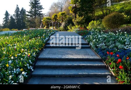 Un bel sentiero circondato da fiori e arbusti verdi sull'isola dei fiori di Mainau in Germania Foto Stock