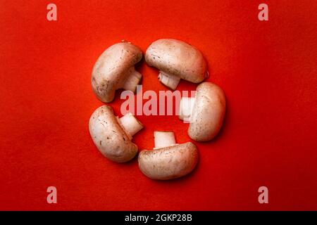 cinque funghi bianchi su sfondo rosso. Foto Stock