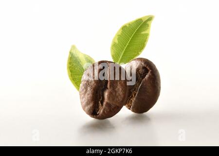Vista macro di due chicchi di caffè e due foglie riflesse su tavola bianca e sfondo bianco. Vista frontale. Composizione orizzontale. Foto Stock