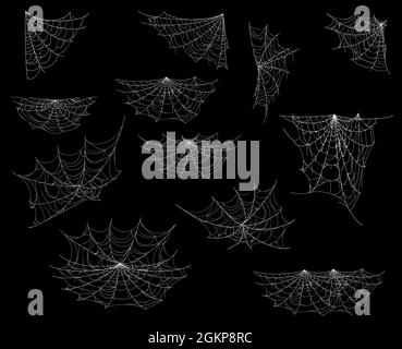 Cartone animato ragno web e cobbweb, decorazioni di Halloween, vettore horror notte partito, vettore set. Halloween spiderweb reti sugli angoli su sfondo trasparente, trick vacanza o trattare l'arredamento spooky Illustrazione Vettoriale