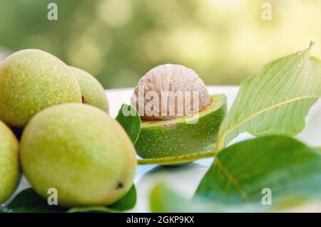 Noce mature con guscio verde su sfondo verde. Noce a buccia verde Foto Stock