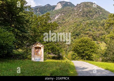 Sulla strada con la guida escursionistica Luca Goldhorn nel sito patrimonio dell'umanità dell'UNESCO della Valle Maggia. I castagni caratterizzano gran parte dell'area forestale protetta, che sarà lasciata ai propri dispositivi per i prossimi decenni, Circolo della Maggia, Svizzera Foto Stock