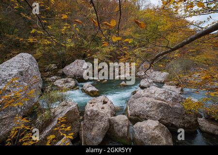 Autunno foresta fiume torrente vista. Creek dalla cascata di montagna al tramonto nella foresta d'autunno. Stagione di autunno in foresta Foto Stock