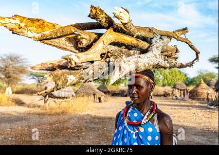 Donna che porta legna sulla sua testa, tribù Toposa, Equatoria orientale, Sudan del Sud, Africa Foto Stock